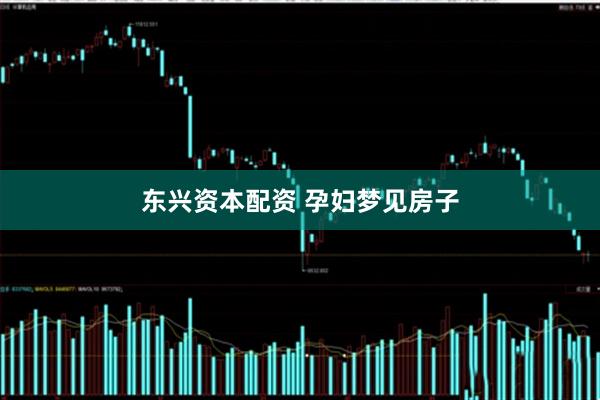 东兴资本配资 孕妇梦见房子