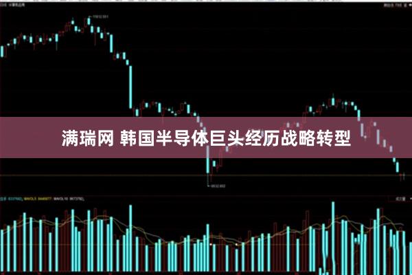 满瑞网 韩国半导体巨头经历战略转型
